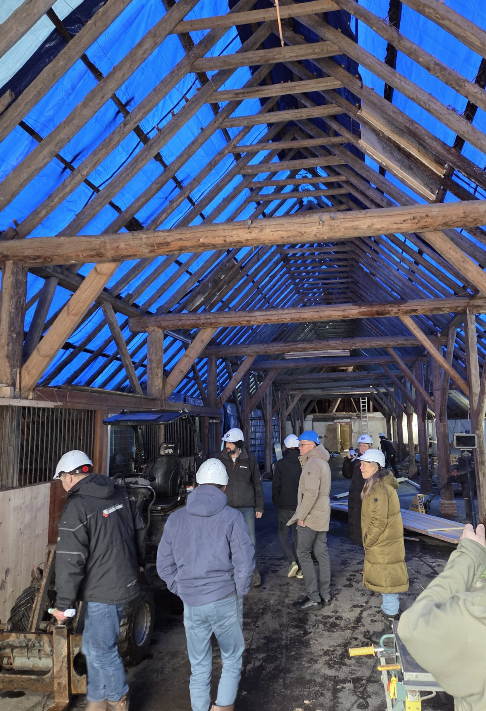 Tocamaheerd Uithuizen